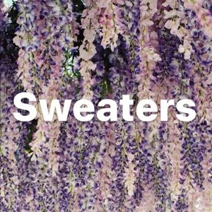 Sweaters and Hoodies